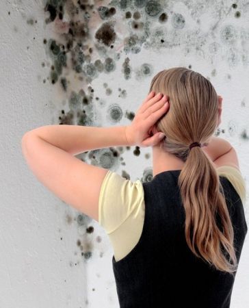 Schimmelpilzsanierung, Schimmel an der Wand